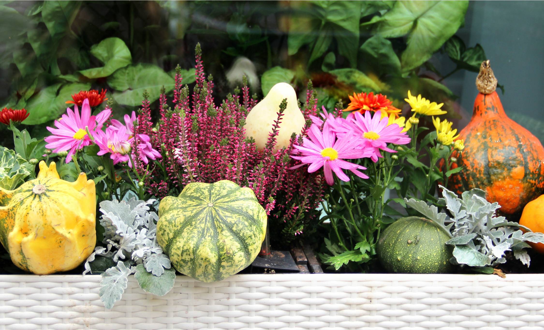 Balcone in aututnno-Balkon im Herbst-2250x1365