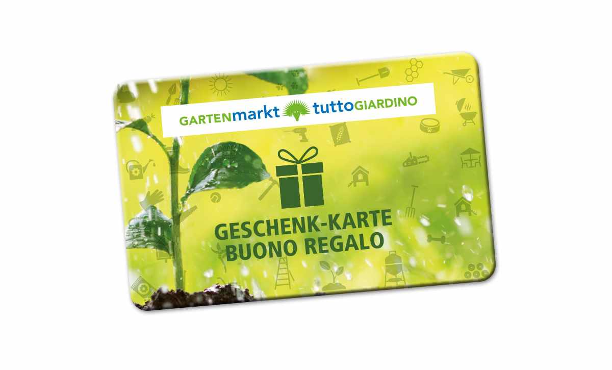 Geschenkkarte-Giftcard-1200x725