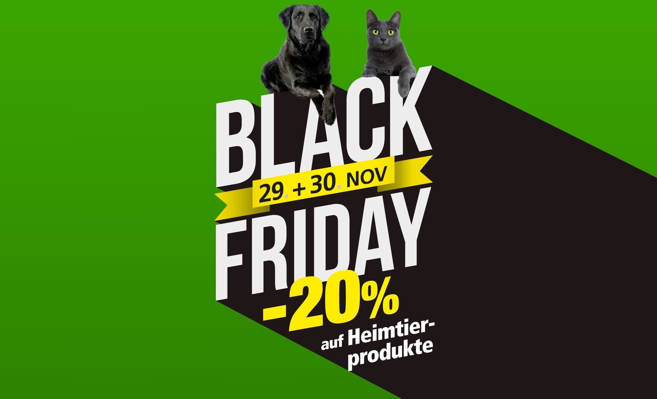 GM-Black-Friday-2250x1365 px-WEB-DE