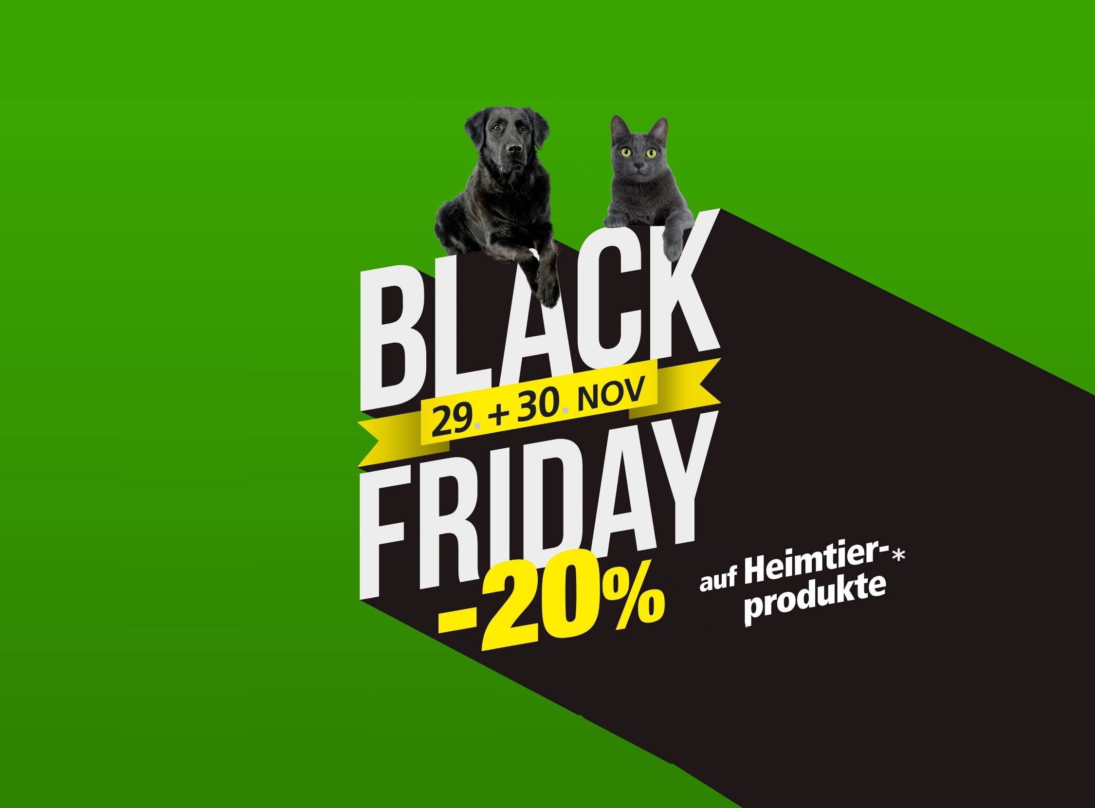 GM-Black-Friday-2250x1660 px-WEB-DE